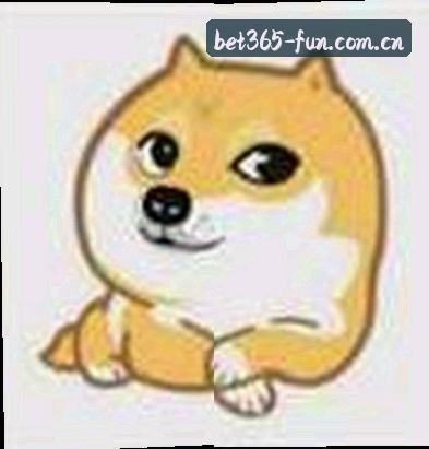 郑凯